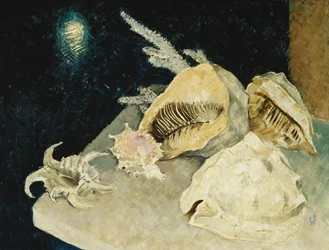 Kagylók