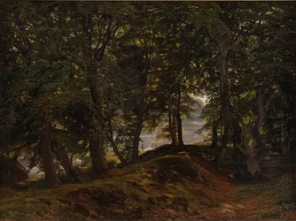 Árnyas hely Hestehave-ban, Frederiksborg közelében