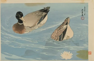 Kacsák, Taisho korszak, 1920 augusztus (színes fametszet)