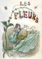A "Les Fleurs animees" című, Grandville által illusztrált könyv címlapja, színes metszet sablonos metszettel. Gonet Edition 1857