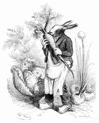 Grandville metszete az „Állatok magán- és közélete (Les animaux peints par eux-mêmes)” című könyvből, Hetzel-kiadás, 1867. Patás nyúlkertész répát ropogtat veteményeskertjében, vagy zöldségeket termeszt (hagymát és káposztát).