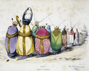 Papi ruhát viselő bogarak felvonulása – Granville-i antiklerikális karikatúra a „The Metamorphoses of the Day” című filmből, 1829