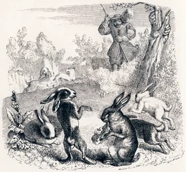 A nyulak - La Fontaine meséi