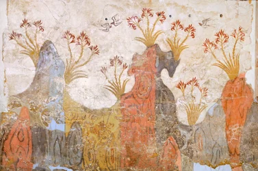 Liliom vagy tavasz szoba, Akrotiri freskó, Thera (ma Santorini), Görögország, Minószi civilizáció