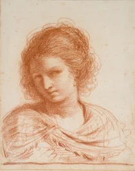 Egy fiatal nő feje, 1550-1666