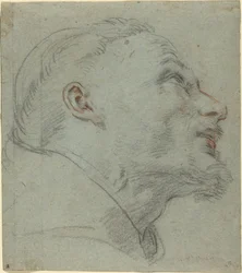 Szent Ferenc feje