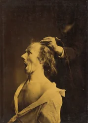Megdöbbenés, döbbenet, csodálkozás,1854-1856, nyomtatva 1862 (fotó)