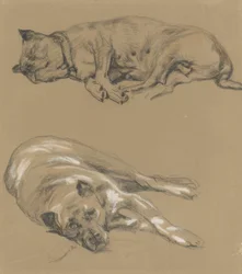 Twee studies van een liggende hond   1385795   hu       hungarian Successfully Translated  Original: Scene in a market (colour litho) Translat: Scene in a market (colour litho) 1324204 hu hungarian Successfully Translated Original: Vrede Translat: Vrede 12