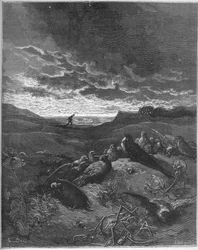 A fecske és a madarak - A fecske és a kis madarak - Jean de La Fontaine (Lafontaine) "Fabuláiból" (1621-95) - metszet Gustave Dore (1832-83) után - Magángyűjtemény