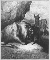le lion le loup et le fox - az oroszlán, a farkas és a róka - Jean de La Fontaine (Lafontaine) „Fables”-jából (1621-95) - gravírozás Gustave Dore (1832-83) nyomán - Magángyűjtemény