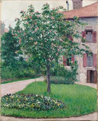 Virágzó fa, 1882