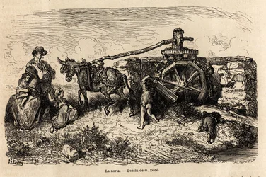 Gustave Dore (1832-1883) 1862-es spanyolországi utazásának szemléltetésére a La noria, egy hidraulikus gép vízszintemelésre az áram által termelt energiával. Metszet a „Le tour du”-ban monde “”, szerkesztette: Edouard Charto