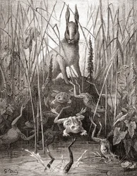 A nyúl és a békák, a Fables de La Fontaine 19. század végi kiadásából (fametszet)