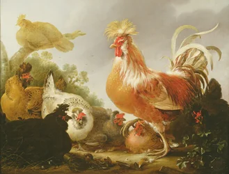 Kakas és tyúkok tájban, 1649