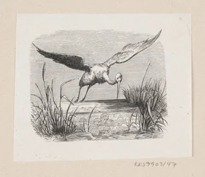 Illusztráció a "The Storks"-hoz H.C. Andersen, "Tündérmesék és történetek", 1. kötet