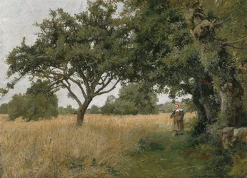 Bretagne táj