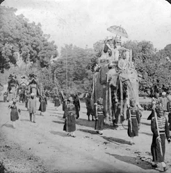 Lord és Lady Harding elefánton lovagolnak, India, 1913.