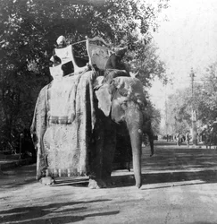Egy elefánt a vasútállomáson kívül Delhiben, Indiában, 1900-as évek.
