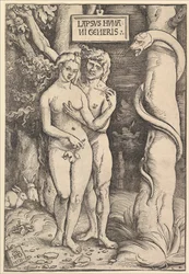Ádám és Éva, 1511.