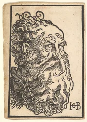 Egy szakállas férfi feje, kb. 1518-19.