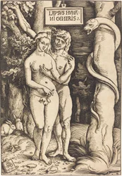 Ádám és Éva, 1511