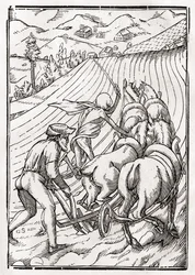A földművesért vagy férjért a halál jön, Georg Scharffenberg metszete a „Der Todten Tanz” című művéből, Bázel, 1843