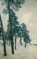 Bogstad vízből