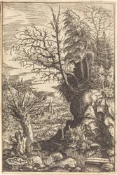 Táj fűzfával, 1553.