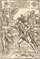 Apollo és Daphne