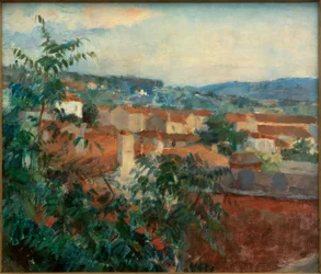 St. Tropez közelében fekvő táj