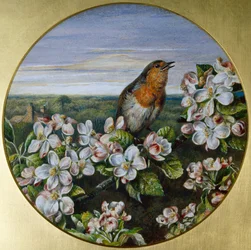 Robin Virágok között