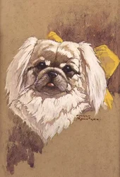 Hókirálynő