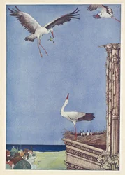 A gólyák.