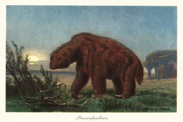 Megatherium americanum a holdfényben.