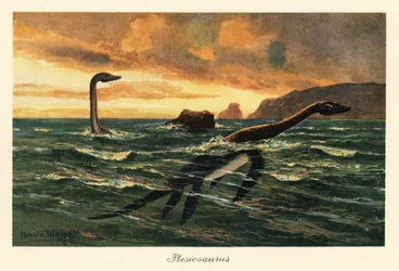 Plesiosaurus dolichodeirus az óceánban.