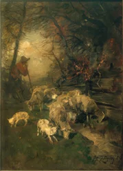Juhász juhokkal