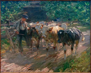 Pásztorfiú három borjút vezet