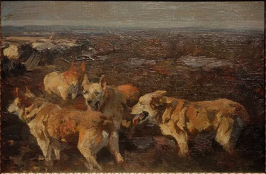 kutyák