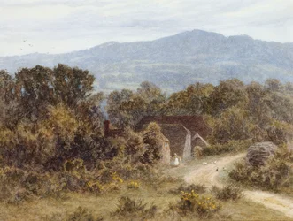 Hindhead Sandhillsből, Witley