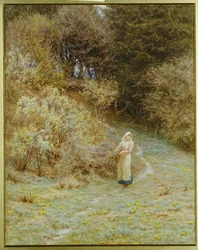 A Primrose Woodban