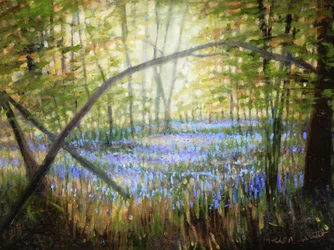 Bluebell Glade, 2024 (olaj, vászon)