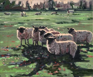 Kíváncsi nyáj I, 2009,