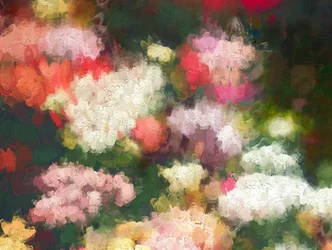 A szív kertje, 2018