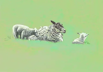 Gentle Spirits, 2022. VIII