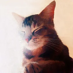 Purr-fect Spot, 2018