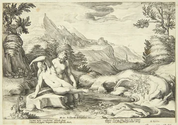 Salmacis és Hermaphroditus