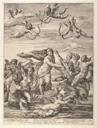 Galatea diadala