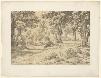 erdő kilátás Tentamina Lithographica (sorozat címe) Olasz tájak (sorozat címe)
