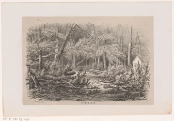Kidőlt fák a Jacobalaanon, az 1860. május 28-i vihar után Jacobalaan (cím a tárgyon) Tíz litografált vázlatot tartalmazó album, amely Toneeelen van de Verwoestinget ábrázolja, akit az 1860. május 28-i vihar sújtott a Gravenhaagsche Boschban,