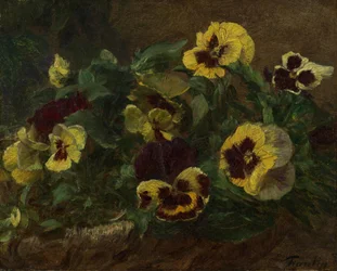 Árvácskák, 1903.